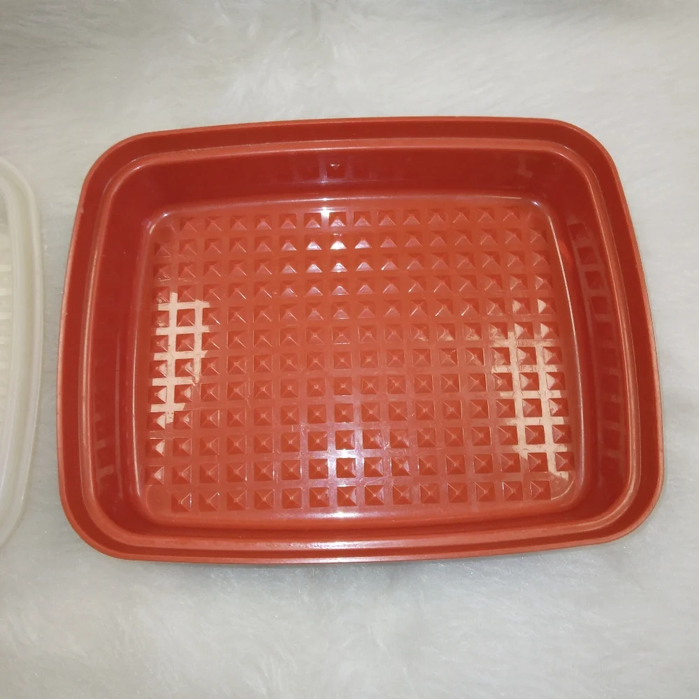 TUPPERWARE 1518-3 Season Serve meat Marinator